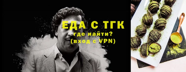 амф Горняк