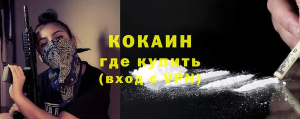 твердый Вяземский