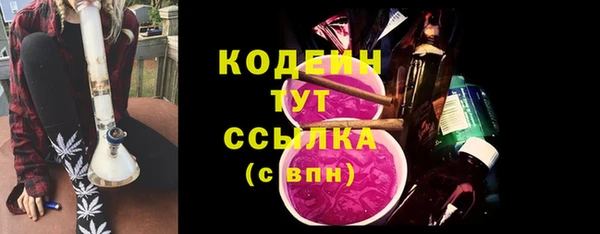 твердый Вяземский