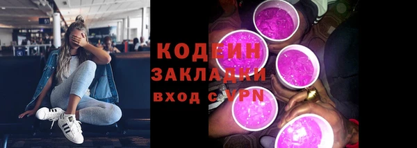 твердый Вяземский