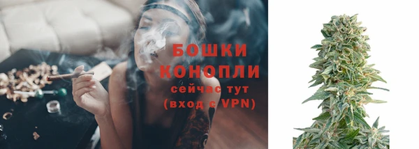 твердый Вяземский