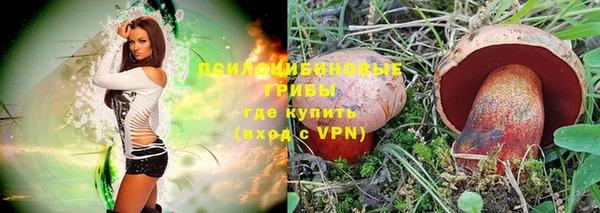 герыч Вязьма