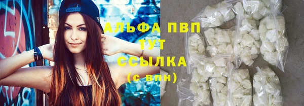 твердый Вяземский