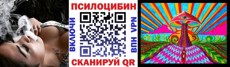 Купить закладки  Пущино  Псилоцибиновые грибы MAGIC MUSHROOMS 
