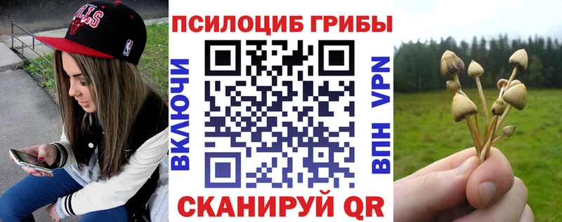 Псилоцибиновые грибы прущие грибы Пущино